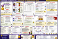 BrainSpark Lab Product 002 — The Case of the Missing Division Medal, Grades 3–4 division math mystery workbook preview